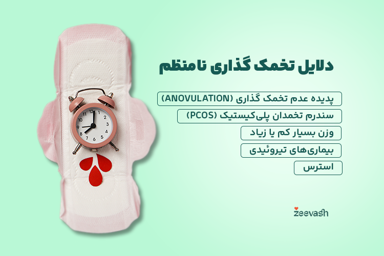 دلایل تخمک گذاری نامنظم